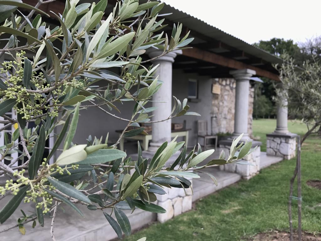 Florence Guest Farm Hotel Chrissiesmeer Exterior photo
